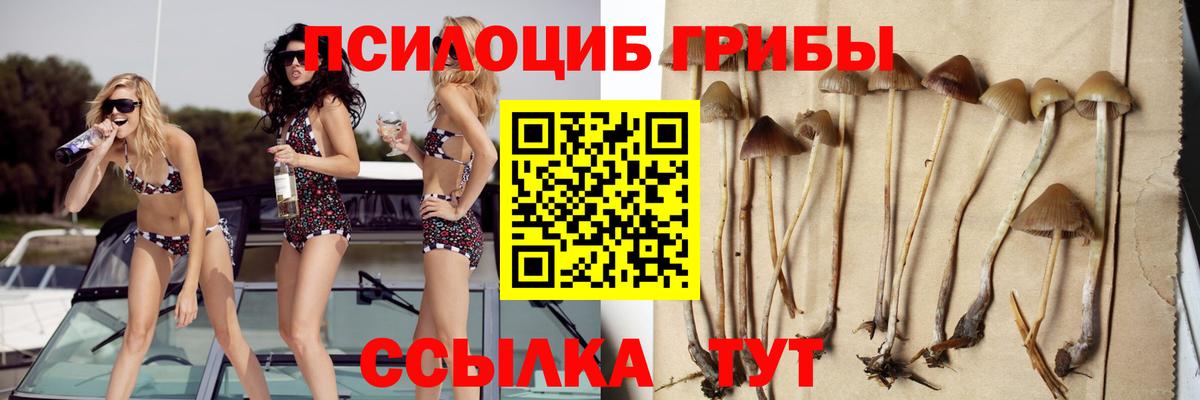 Галлюциногенные грибы Psilocybe  Вход с VPN  Нефтеюганск 