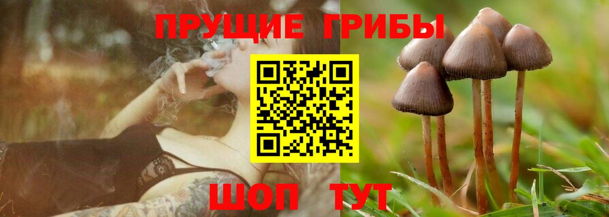 Псилоцибиновые грибы мицелий Нефтеюганск